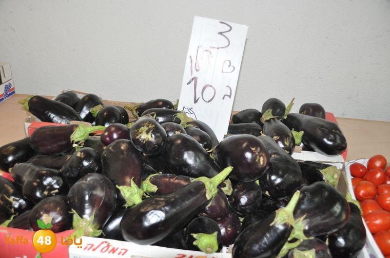 setona2y 830 (5).JPG